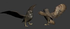 Great horned