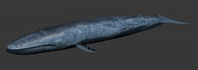 Biologic blue whale