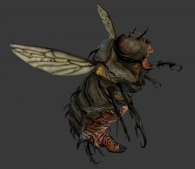 Blowfly