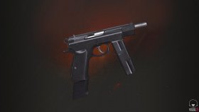 CZ 75?Auto