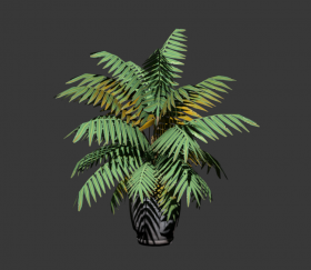 Tree Palm