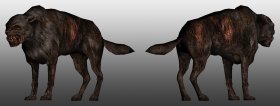 Pseudodog