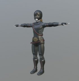 Armor 17