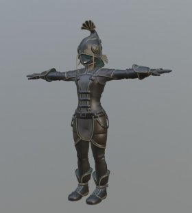 Armor 46