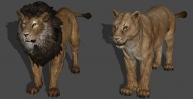 Lions - Bless Online