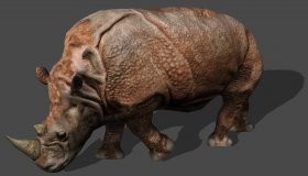 Rhino