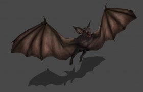 Bat - DOA5