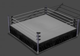 Wrestling Ring