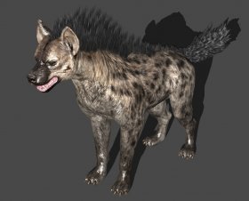 Hyena - Dark & Light