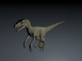 Velociraptor