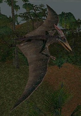 Pterandon