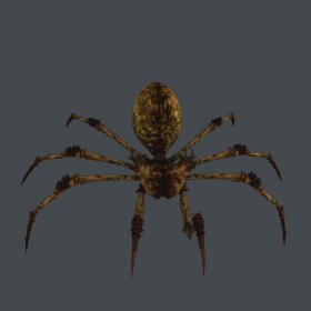 Spider Monster