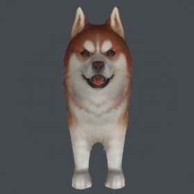 Husky