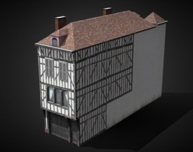 Troyes House 2 [France]