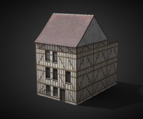 Troyes House 2 [France]