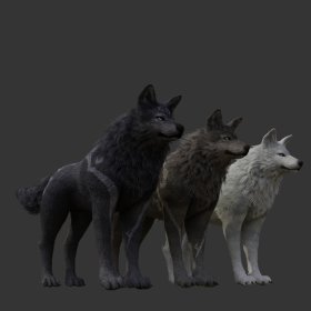 Wolf pack 2
