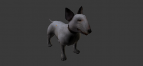dog