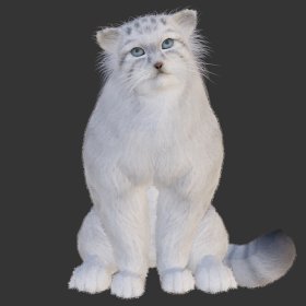Manul
