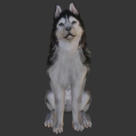 Husky