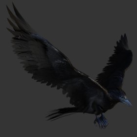 Crow