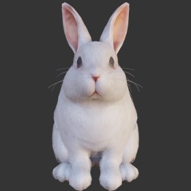 Rabbit