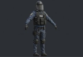 Police Swat