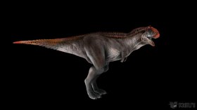 Carno