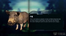Pig