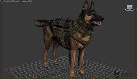 Dog from cod