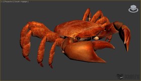 Crab from the dh2