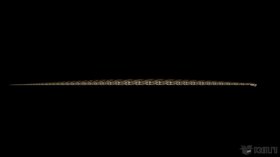 Nagini