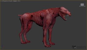 Feral