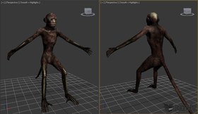 Dead monkey