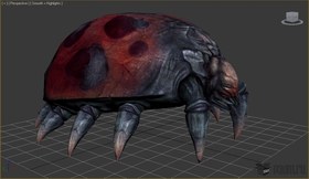 TB Bug