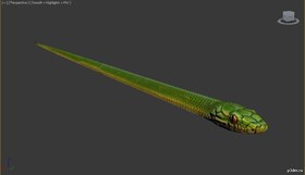 Snake