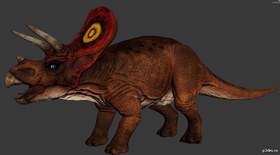 Triceratop