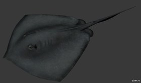 Crampfish