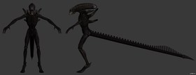 Xenomorph Warrior