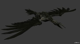 Song bird