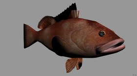 RedGrouper