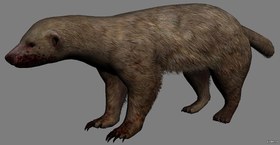 Ratel Gulo