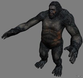 Yeti