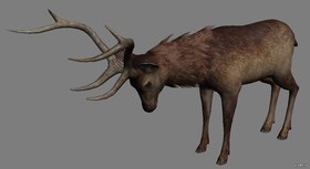 Sambar
