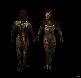 Dragonoid
