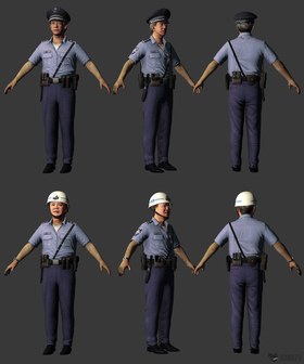 Japanese police