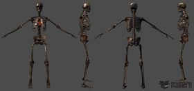 Skeleton infantry