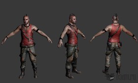 Vaas