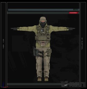 Pieuvre Armement
