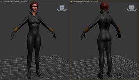 Black Widow (Gray)