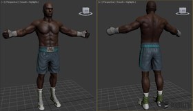 Boxer training black